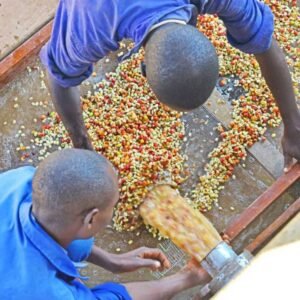 Here We Go…First Pulping of the Season